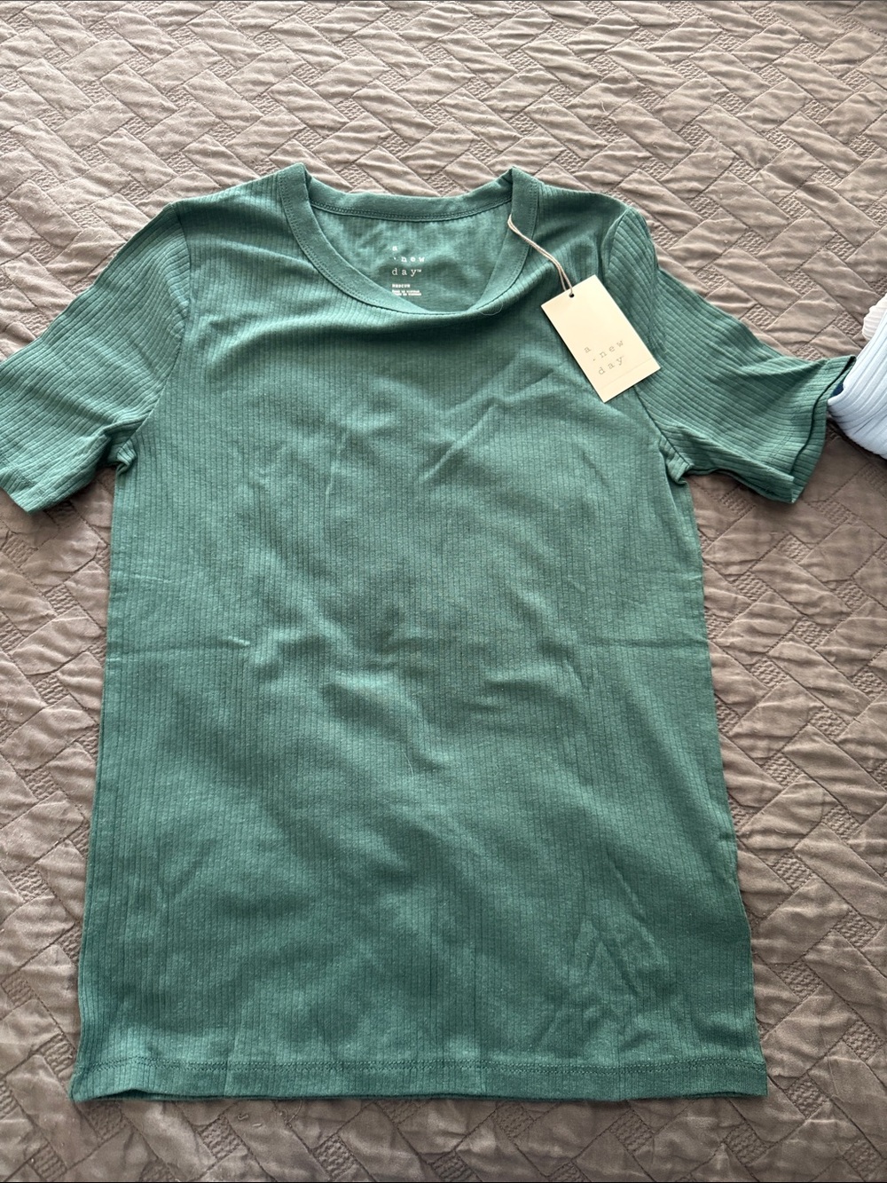 Madewell Short Sleeve Ribbed Crewneck Tee in Teal